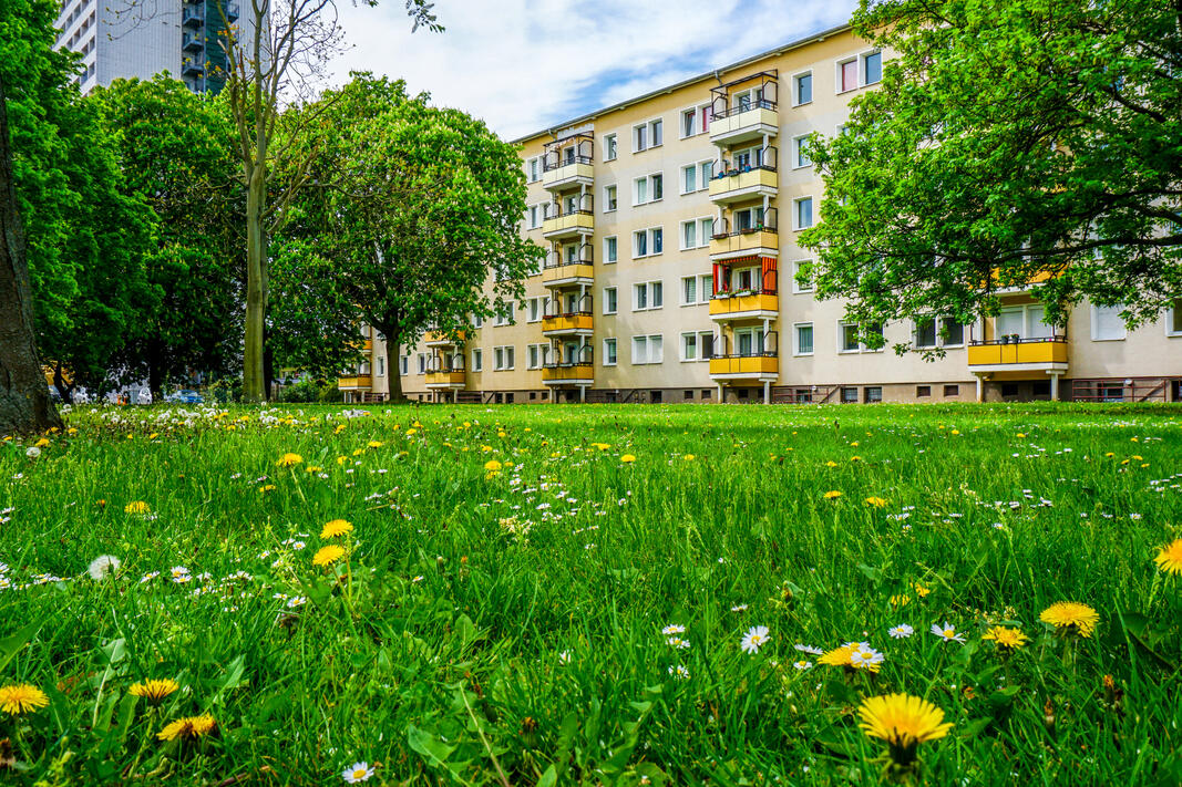 Plattenbau begrünt
